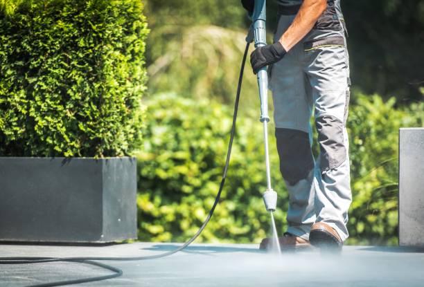 Professional Pressure Washing Services in Au Sable, MI