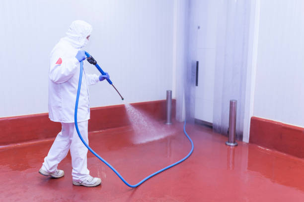 Best Concrete Sealing  in Au Sable, MI